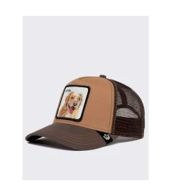 Gorra Goorin The Loyal Dog Brown
