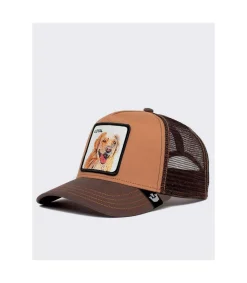 Gorra Goorin The Loyal Dog Brown