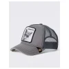 Gorra Goorin The Silver Fox Grey