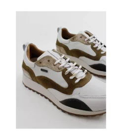 Zapatilla Kangaroos 410 Hielo Taupe