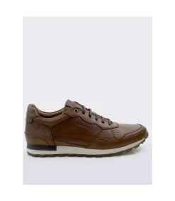 Zapatilla Kangaroos 476 Marron