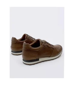 Zapatilla Kangaroos 476 Marron