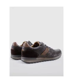 Zapatilla Oveja Negra Cavani Marron