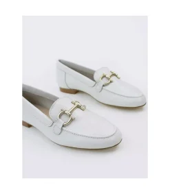 Zapato 6000X Glass