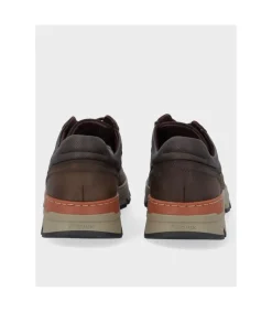 Zapato Fluchos F1843 Castano