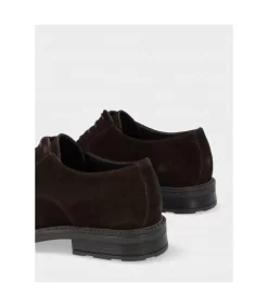Zapato Lucky Steps 855 Castano