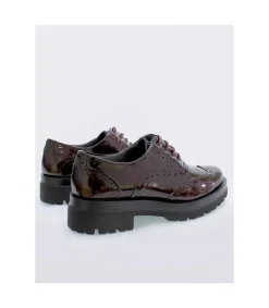 Zapato Pitillos 1721 Burdeos
