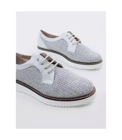 Zapato Pitillos 5100 Gris Plata