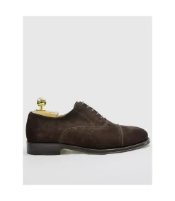 *Zapato Windsor Dynasty Marron Serraje