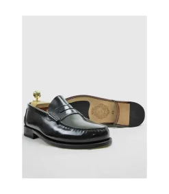 *Zapato Windsor Dynasty Negro Florentic